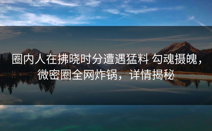 圈内人在拂晓时分遭遇猛料 勾魂摄魄，微密圈全网炸锅，详情揭秘